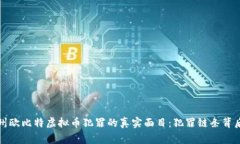 揭露鄂州欧比特虚拟币犯