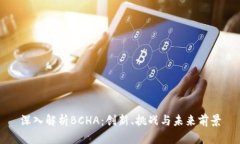 深入解析BCHA：创新、挑战