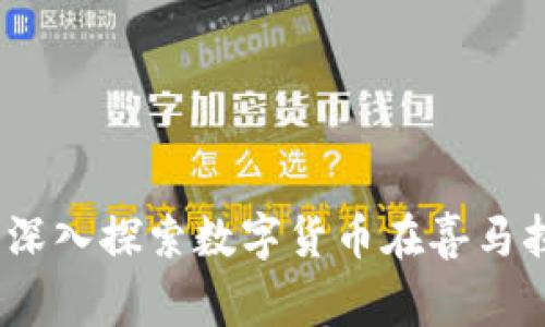 尼泊尔虚拟币的崛起：深入探索数字货币在喜马拉雅国家的影响与前景