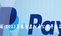 深度解析：2023年最佳虚拟