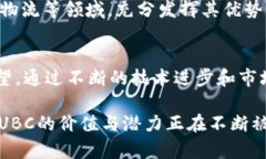   探索UBC虚拟币的应用潜力