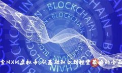 : 探索MXM虚拟币：从基础知识到投资策略的全面指