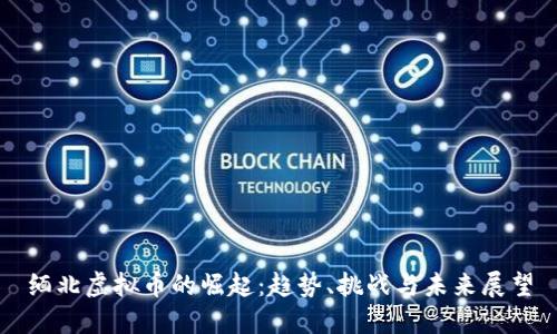 缅北虚拟币的崛起：趋势、挑战与未来展望